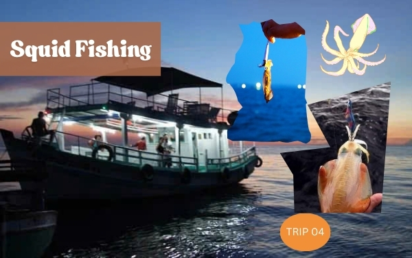Squid Fishing Phu Quoc – A Night Adventure
