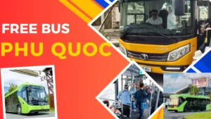 phu quoc free bus