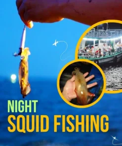 Unforgettable Squid Fishing Experience in Phu Quoc