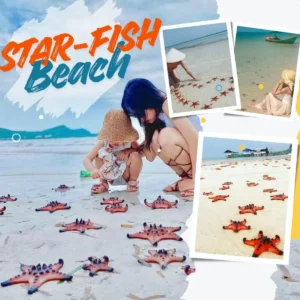 Starfish Beach Phu Quoc – Explore Rach Vem Village & Ham Rong Bay